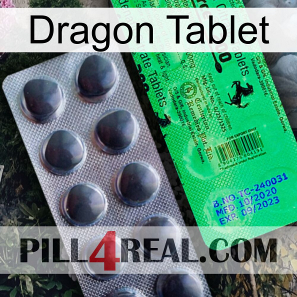 Dragon Tablet new04.jpg